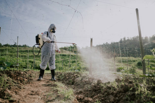 Best Mosquito Control Services  in Portage, IN