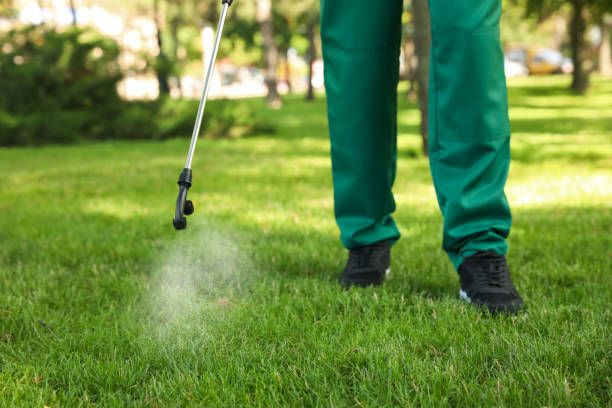 Best Ant Control Services  in Portage, IN