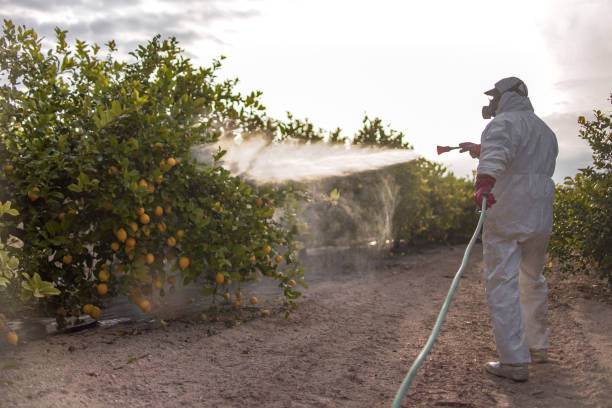 Best Mosquito Control Services  in Portage, IN