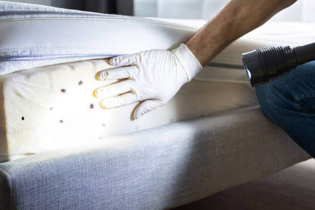 Best Affordable Pest Control Services  in Portage, IN